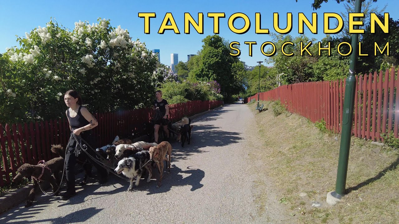 🇸🇪 Stockholm Södermalm 4K Walk - Zinkensdamm & Tantolunden (#610)