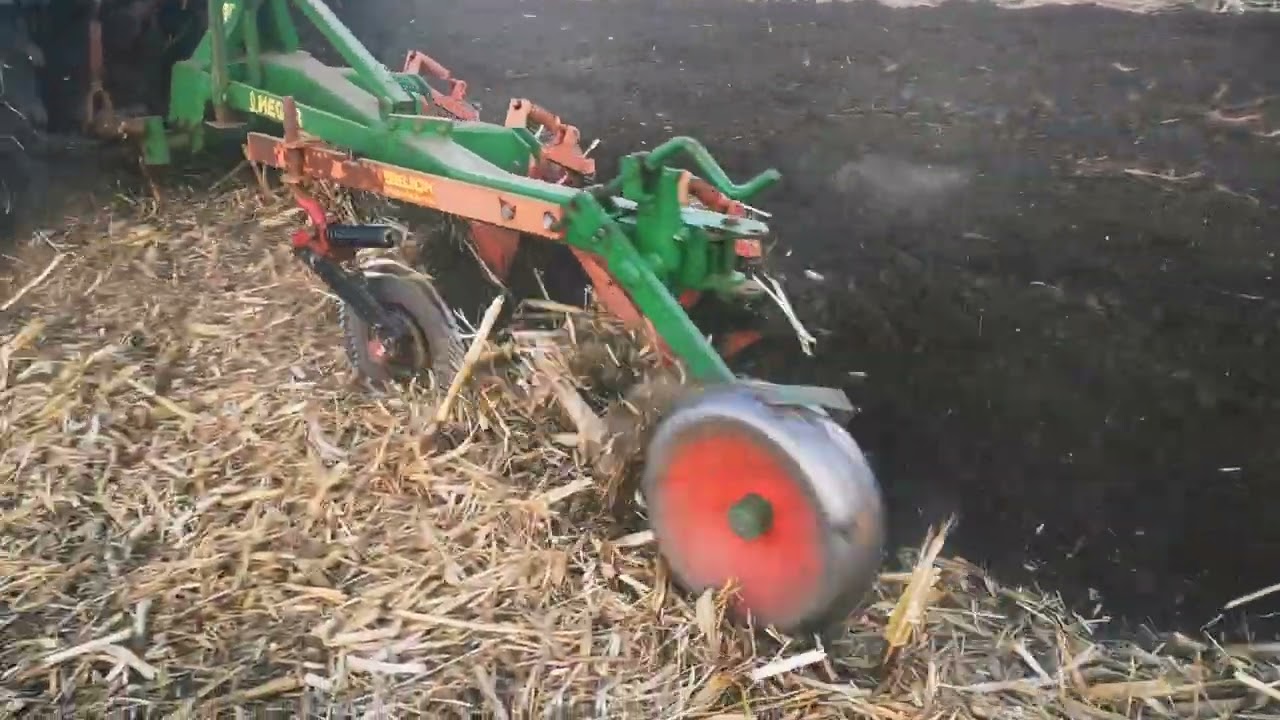 Mtz 820.2 kukorica tarló szántás. 2022.