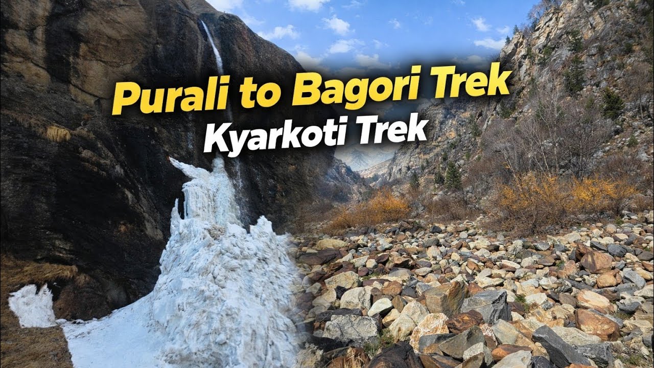 Kyarkoti Trek, Purali to Bagori Hike | Life in Harsil |Collecting sea buckthorn juice from Himalayas