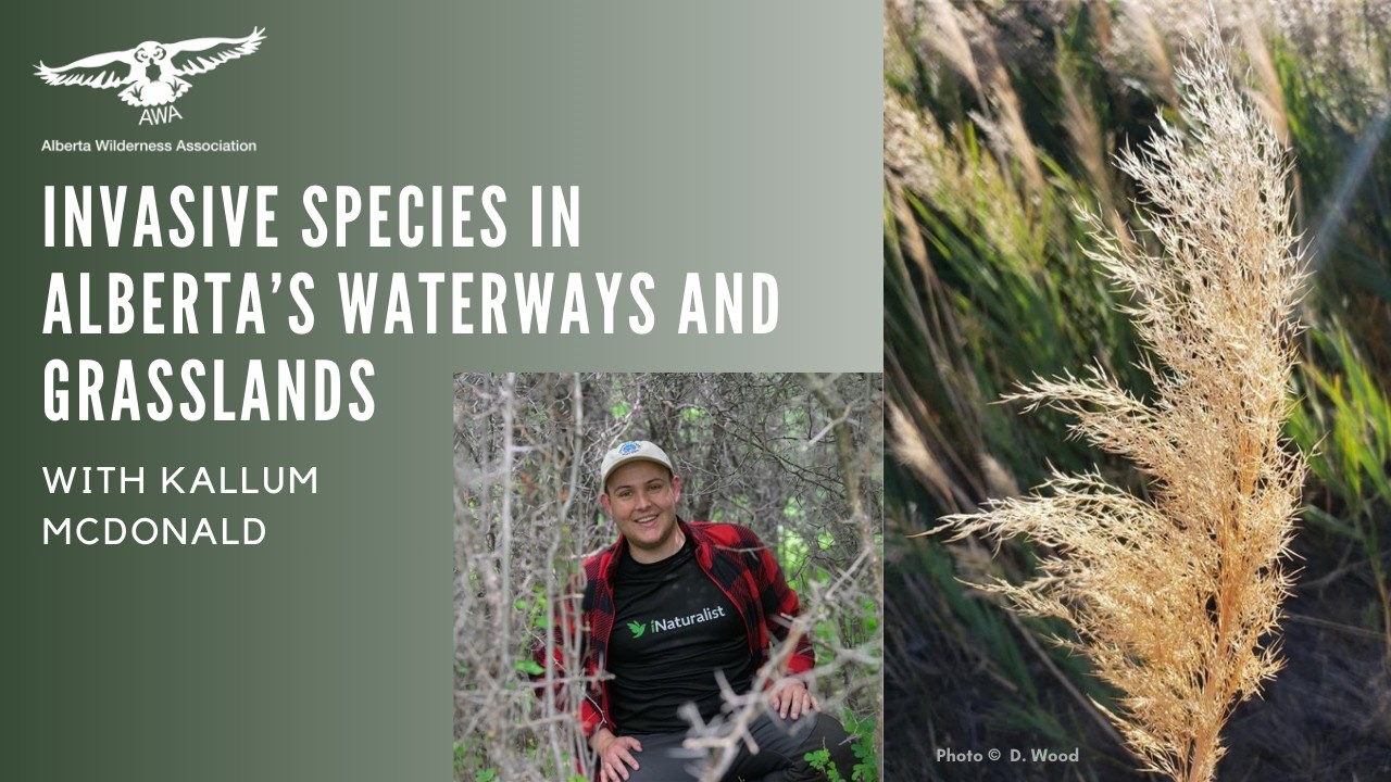 AWA Talk Night - Invasive Species in Alberta's Waterways and Grasslands