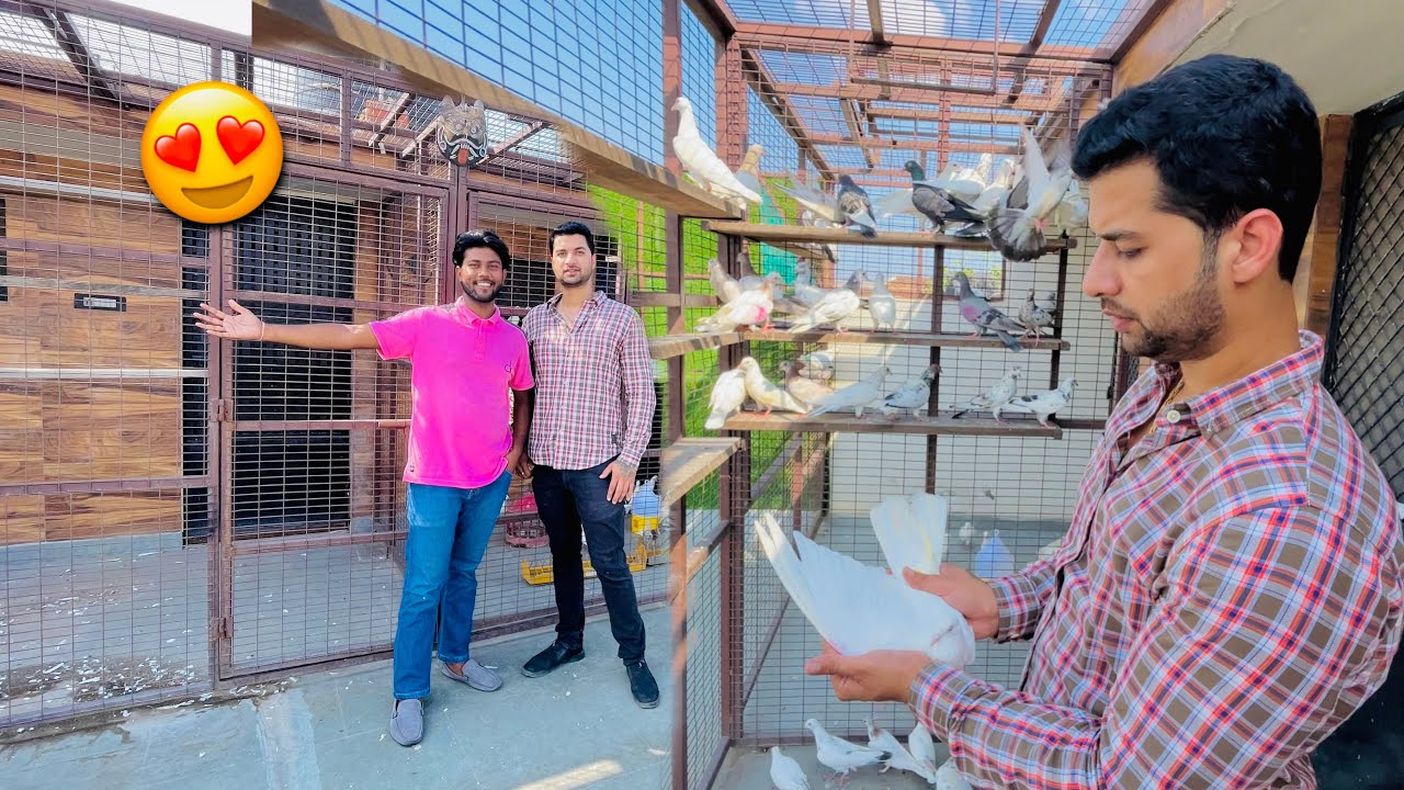 Kunal Bhai Lajawab Shoq ❤️ @KUNAL'S ANIMAL PLANET