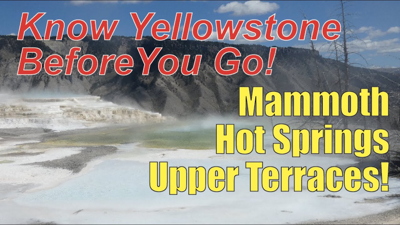 Mammoth Hot Springs Upper Terraces: Virtual Yellowstone Tour!