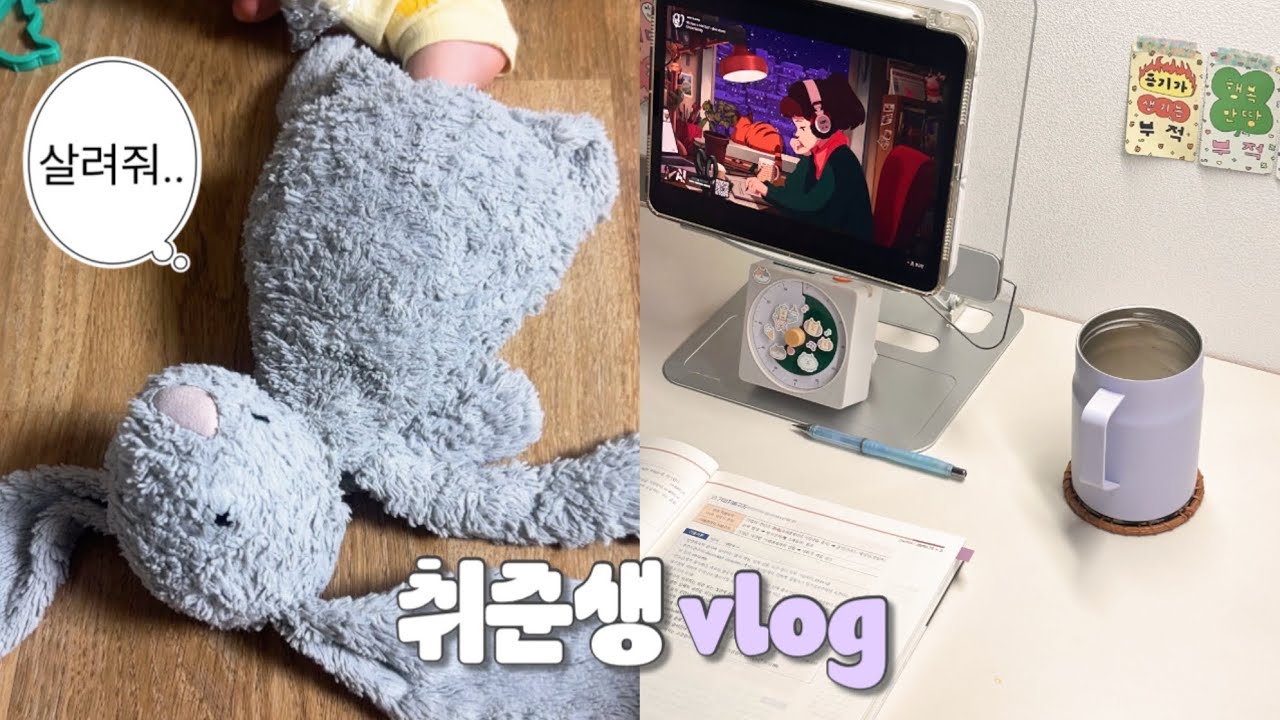 취준생브이로그 | R=VD 계획 다 지키고 합격한다🍀 | 새해맞이  계획세우고 공부하기 | 내니가 된 취준생