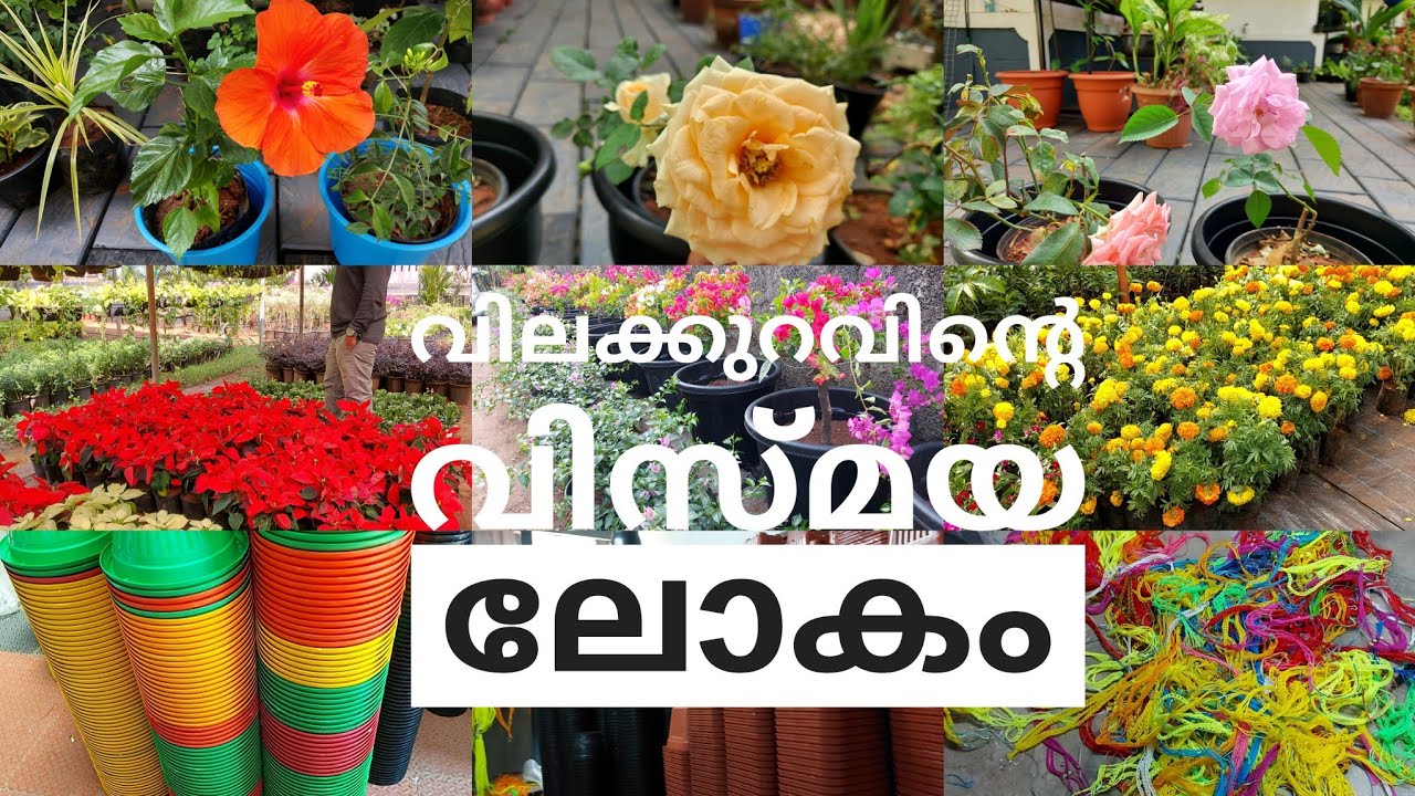 Mannuthy madakkathara nursery visit || ചെടികളും ചട്ടികളും വിസ്മയിപ്പിക്കുന്ന വിലക്കുറവിൽ