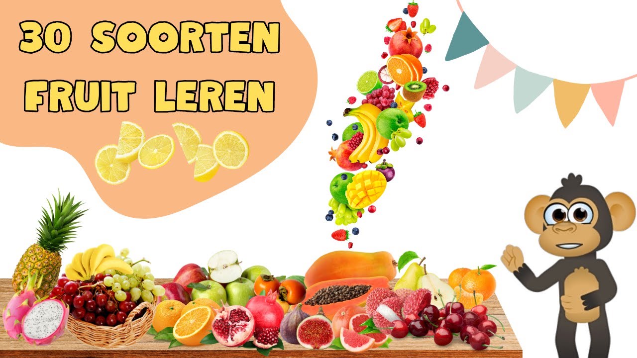 FRUIT LEREN 🍓🍇🍎| 30 soorten fruit leren in het Nederlands | Leerzame video voor peuters en kleuters.