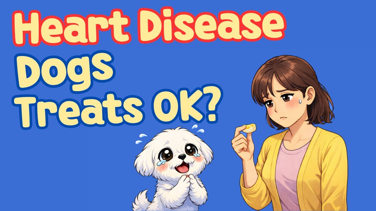 Heart Disease Dogs: Can I Give Treats When They Won't Eat?