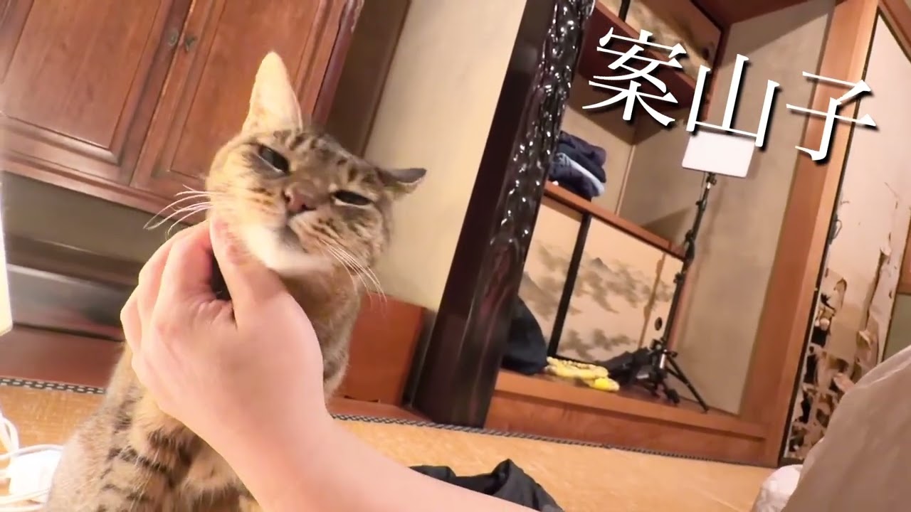 案山子