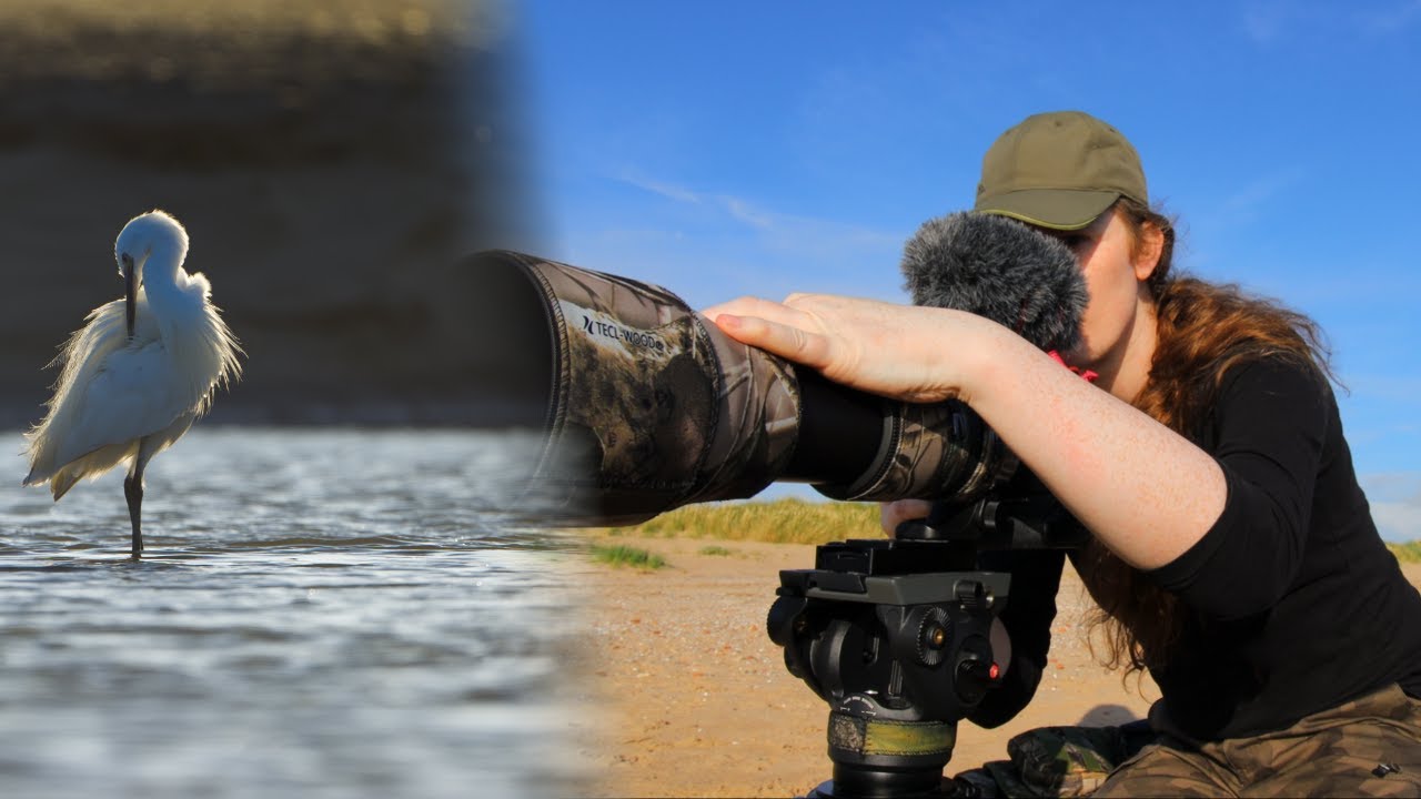 SUMMER ESTUARIES - Wildlife Photography Among Coastal Dunes