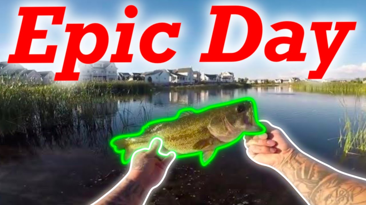Bank Fishing for BIG bass ( CRAZY Catch )