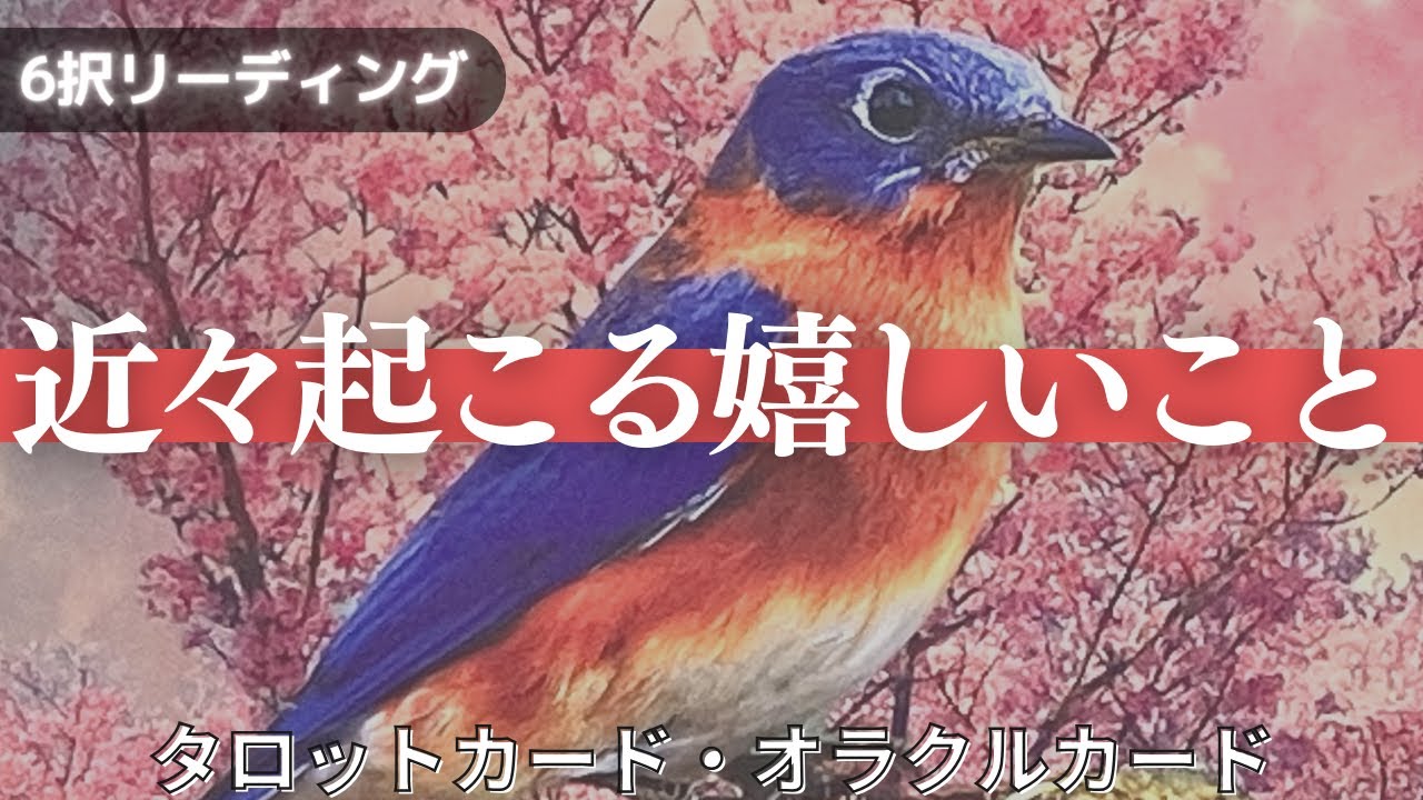 近々起こる嬉しいこと🍀【6択🌈タロット占い】