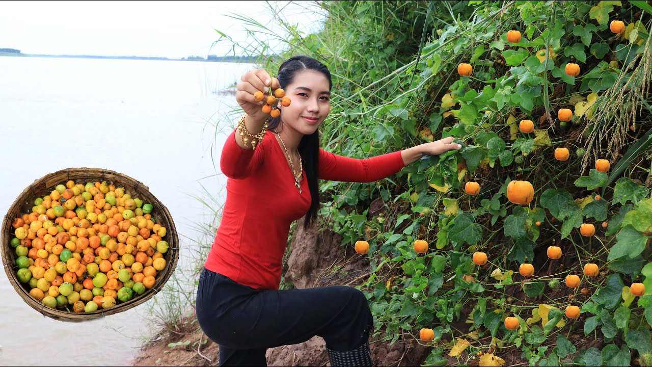 Have you ever seen this fruit in your homeland - It call mini passion fruit in my village