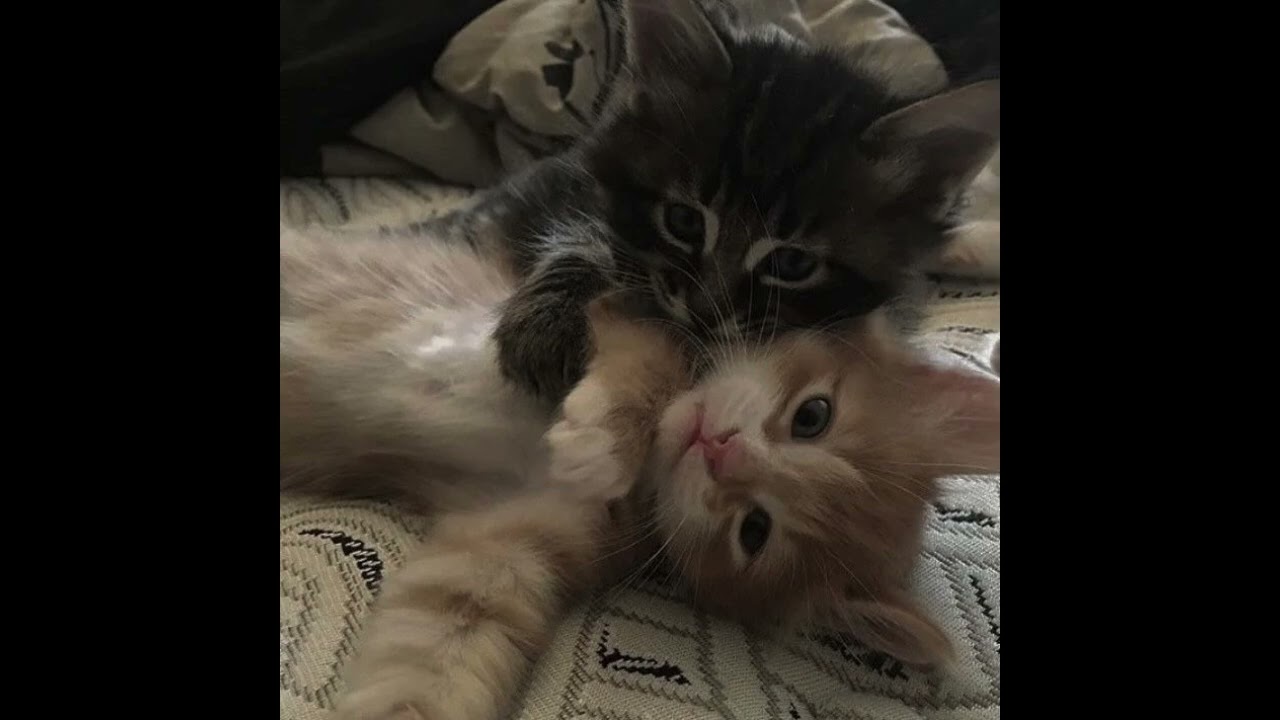 New to luv