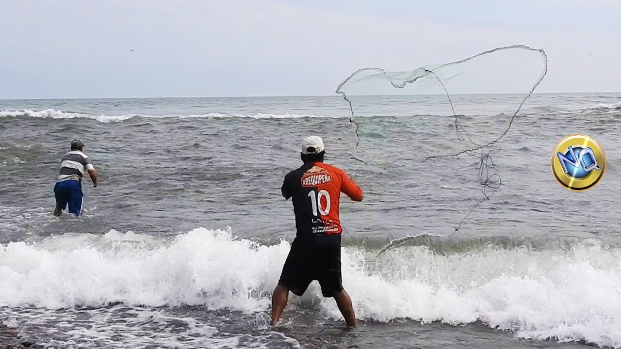 Mira cual de los 2 modelos de redes pesca más, Atarraya de tiros vs #atarraya con seno