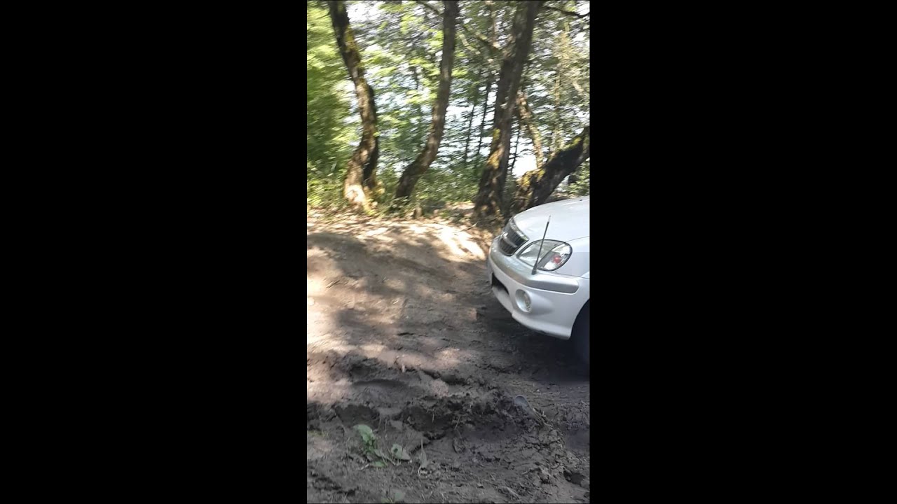Toyota Nadia SU 4x4