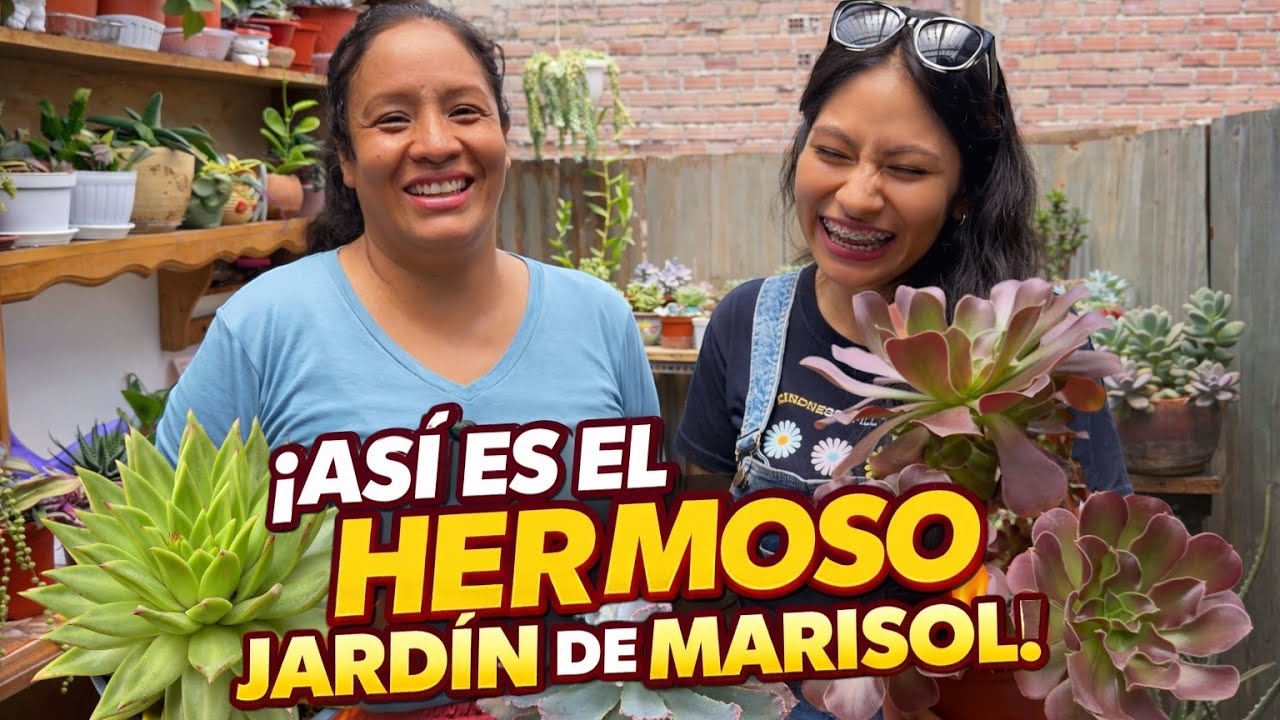 Conociendo el jardin de Marisol 😊 una suscriptora coleccionista de suculentas hermosas lima- peru🇵🇪