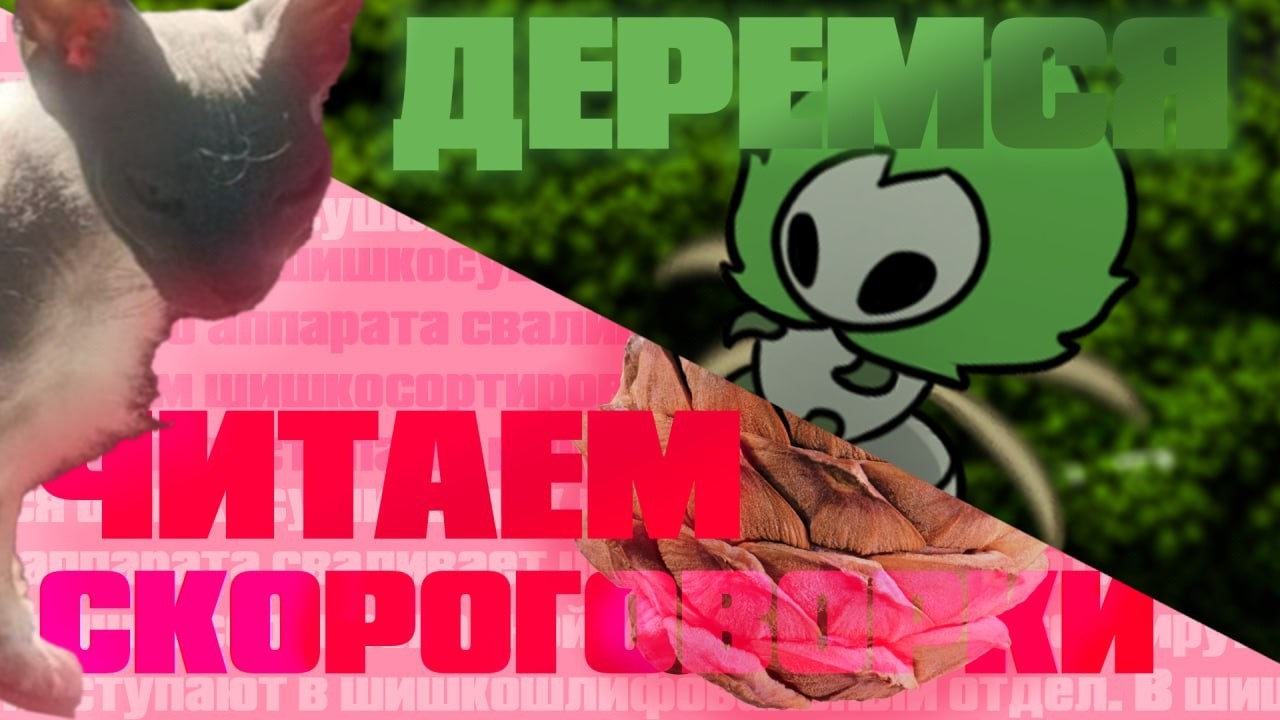 Спидраним первый акт Силксонга (Швед раут)