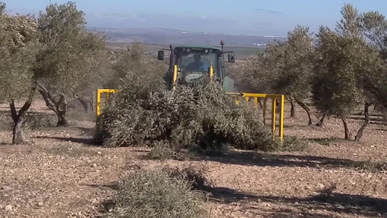 Recogedor de ramas