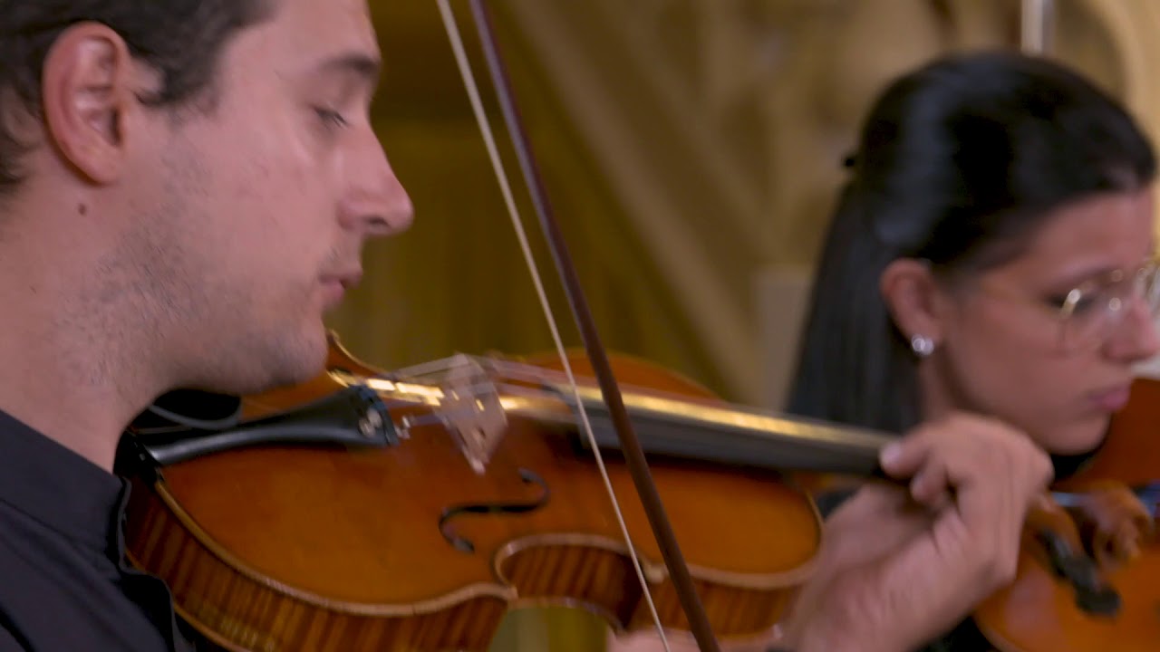 Hugo Wolf - Italian Serenade. Quartetto Guadagnini