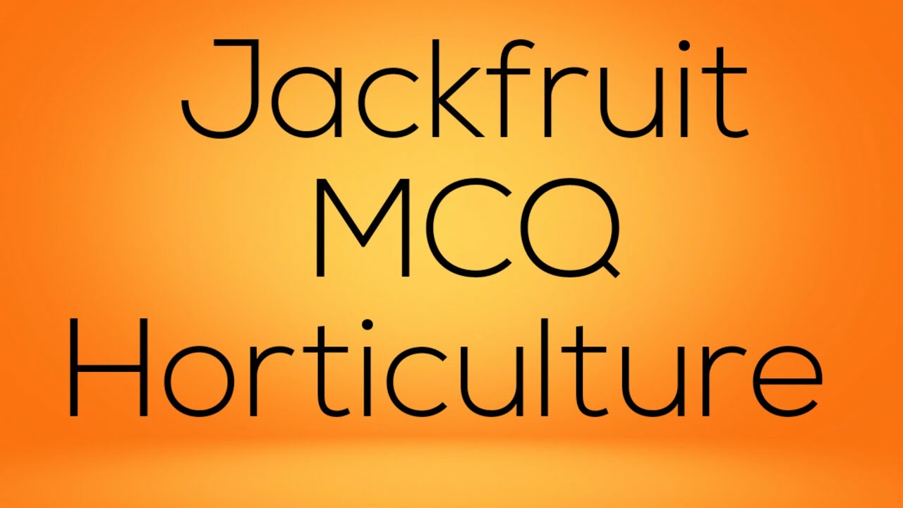 Jackfruit MCQ / Jack fruit Questions For all agriculture exam