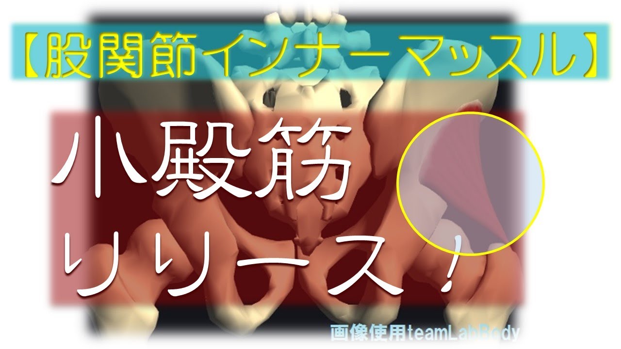 vol.84 【股関節安定】重要度は中殿筋級‼ 簡単な小殿筋リリース法‼