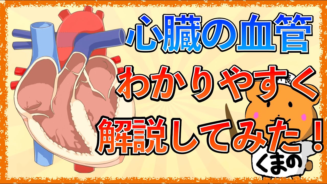 イラストで学ぶ医学！「心臓の血管をわかりやすく解説！腕頭？上大静脈？下大静脈？」