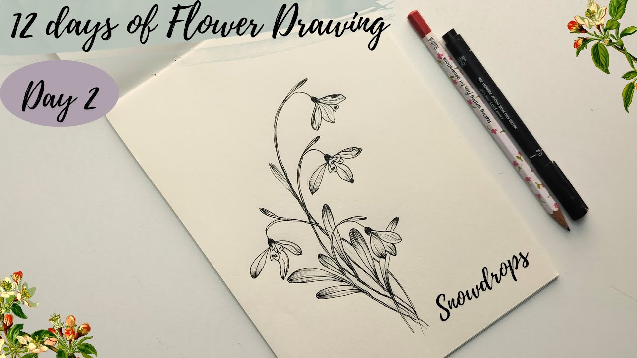 How to draw flowers - Day 2. Snowdrop flower drawing tutorial for beginners.