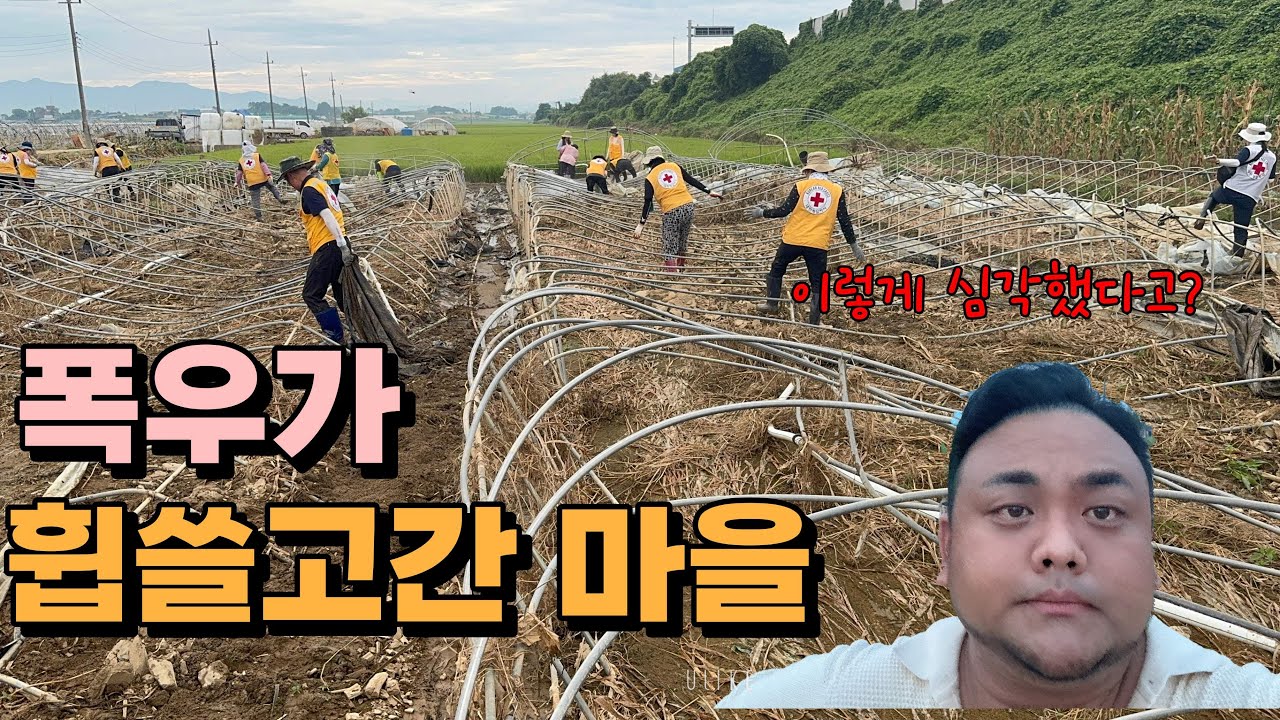 맨손으로 복구중… 예산 수해 현장, 아무도 모르게 봉사하는 사람들 #홍수 #폭우 #예산군 #로타리 #봉사