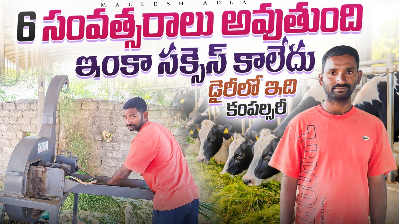 6 ఏళ్లుగా స్ట్రగుల్ పడుతున్న Problems at the dairy farm @MalleshAdla