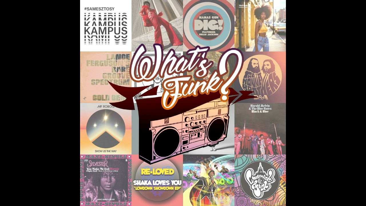 What’s Funk? 6.02.206 - Dig!
