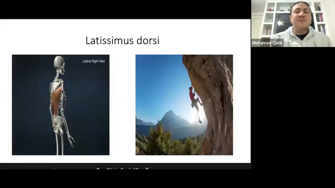 بداية الـ Basic Sciences: الـ Upper Limb من الألف للياء في الـ MRCEM