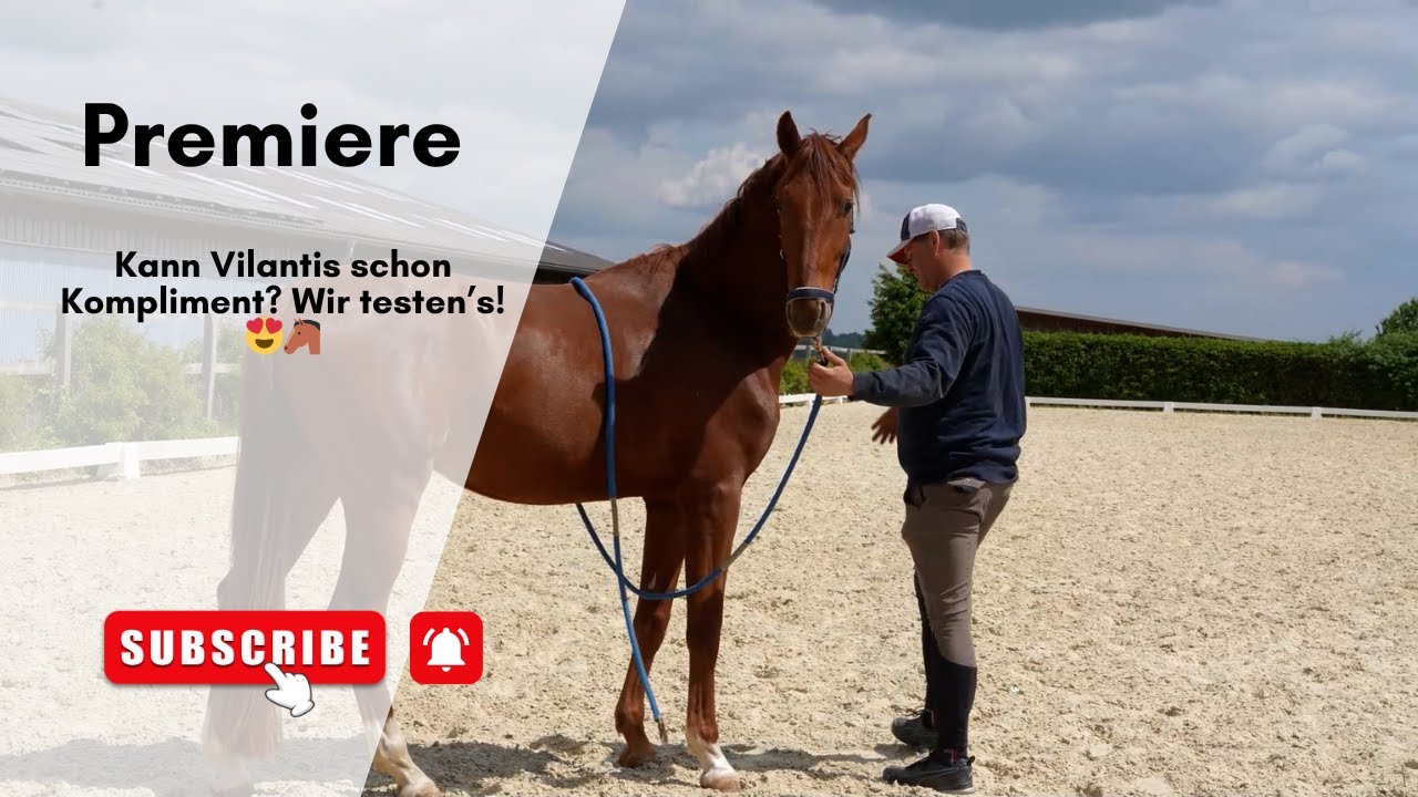 Kann Vilantis schon Kompliment? Wir testen’s! 😍🐴