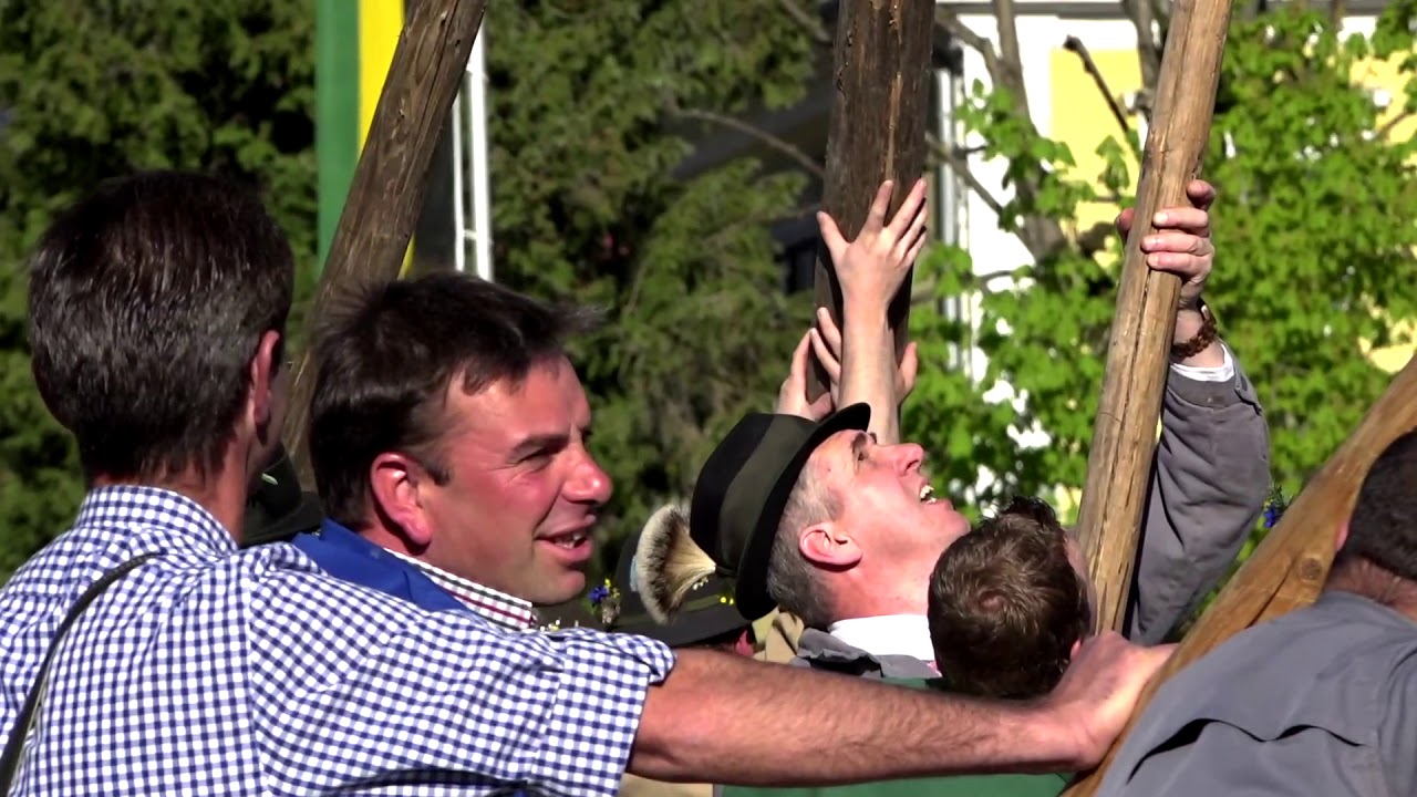Maibaum aufstellen Bad Ischl 2020