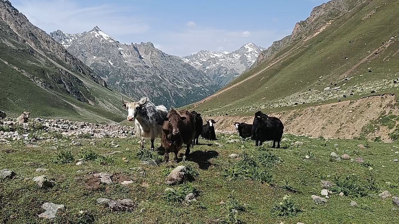 Одиночный поход по Приэльбрусью. Маршрут Терскол- Хурзук. Часть 2.