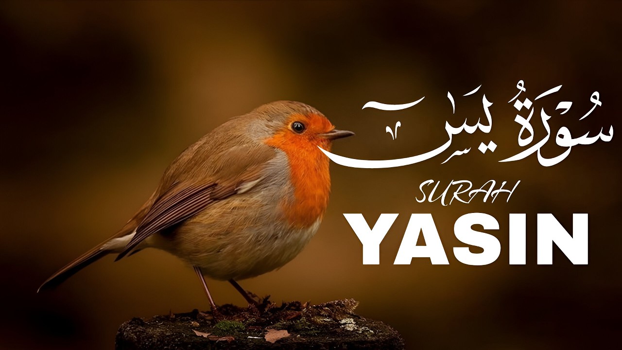 Surah Yasin (Yaseen) for Healing | Relieve Stress, Depression & Anxiety | سورة يس | Ahmed Ibrahim