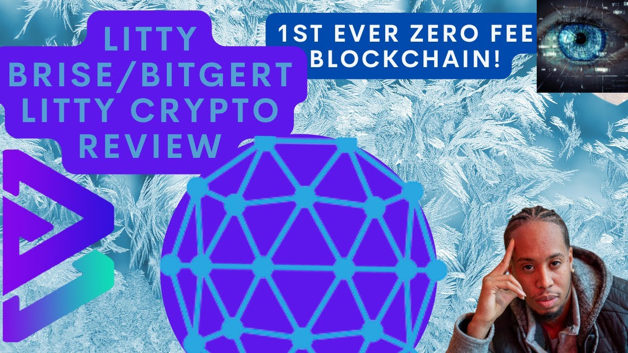 BRISE AKA BITGERT LITTY CRYPTO REVIEW! ZERO FEE BLOCKCHAIN! 20X COMPLETED. MY LONG-TERM PROJECT. YO!