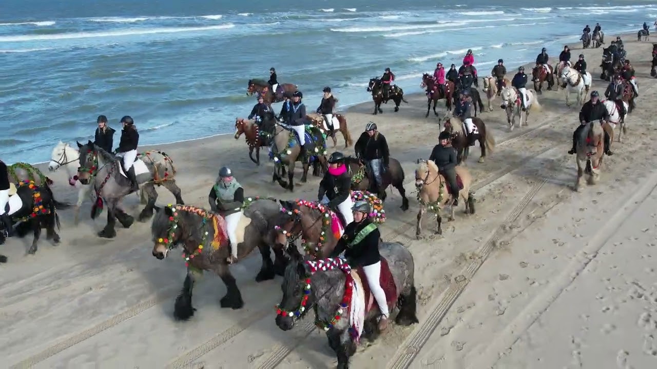 Stroa Renesse 2026