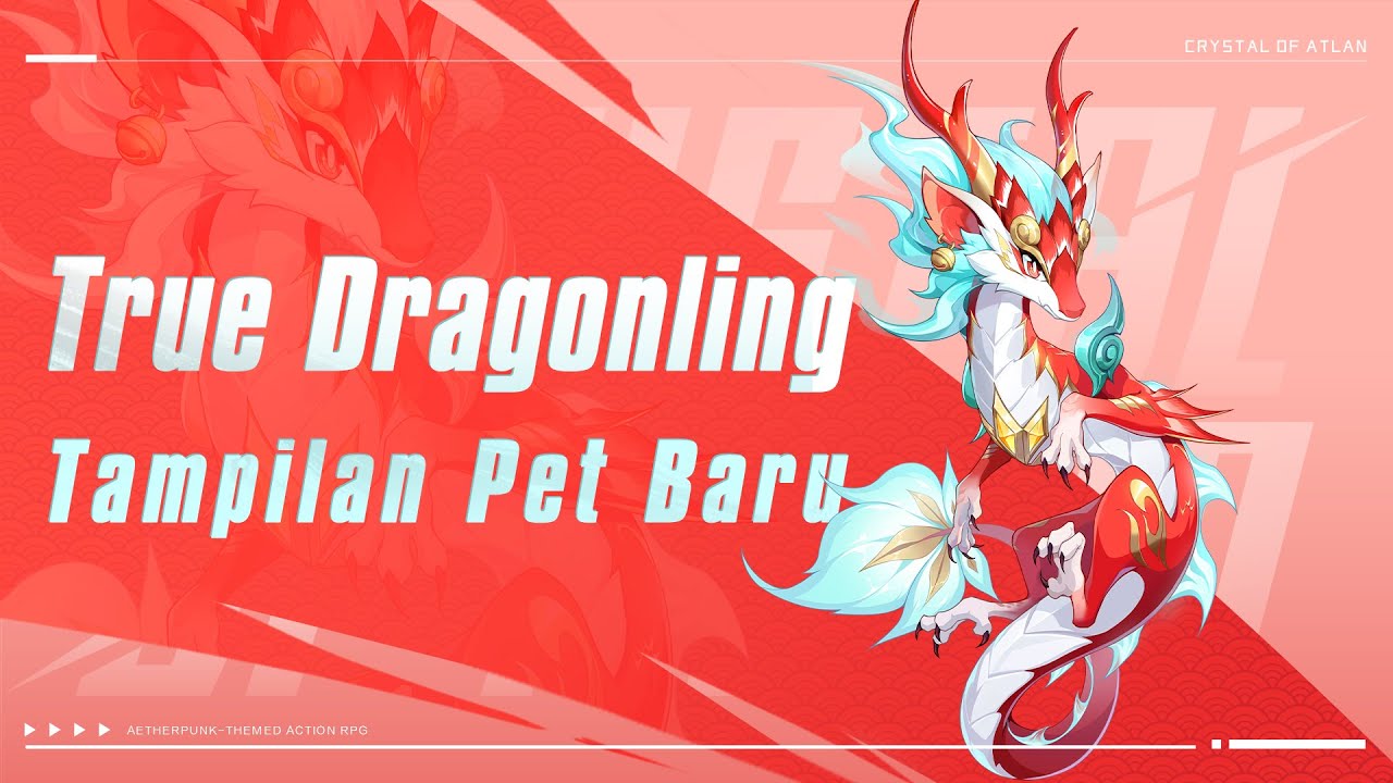 Gacha Auspicious Dragon! Pet Baru pertama di lv 70 Crystal of Atlan! menjemput Ancenstral Whelp