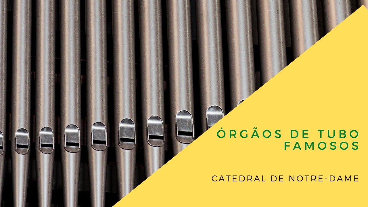 Curiosidades - Órgão de tubos da Catedral de Notre Dame -  #órgão  l  #ÓrgãodeTubos  #curiosidades