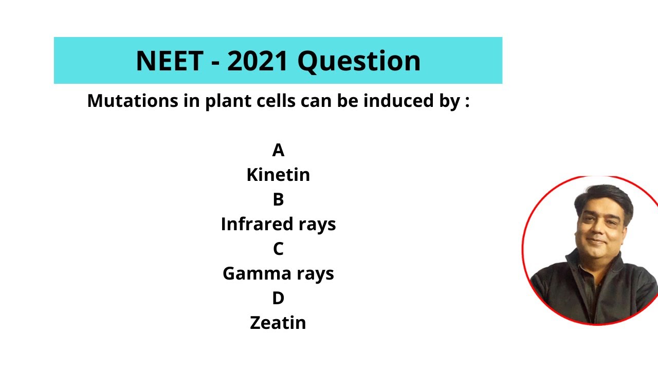 Mutations in plant cells can be induced by :A Kinetin B Infrared rays C Gamma rays D Zeatin
