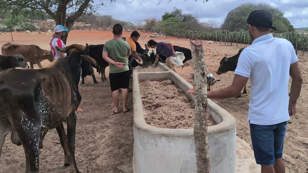 Benedito recebe uma visita de uns seguidores 