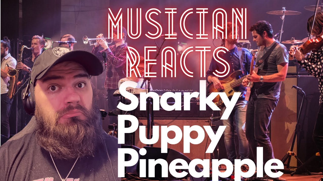 Musician Reacts to Snarky Puppy (Pinapple)