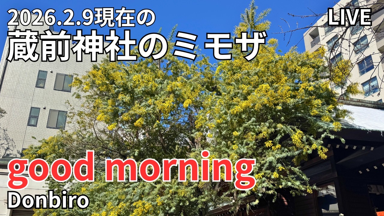[出勤ライブ]スカイツリーから、浅草寺、蔵前神社まで歩く✨[Work Live] Walk from Skytree to Sensoji Temple and Kuramae Shrine✨