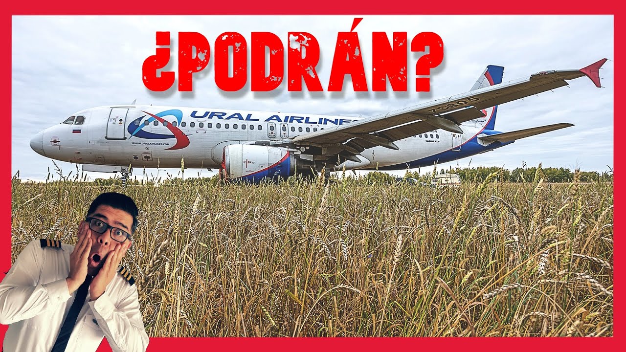 🔴¡QUIEREN DESPEGARLO DESDE UN CAMPO DE TRIGO!💥Airbus 320