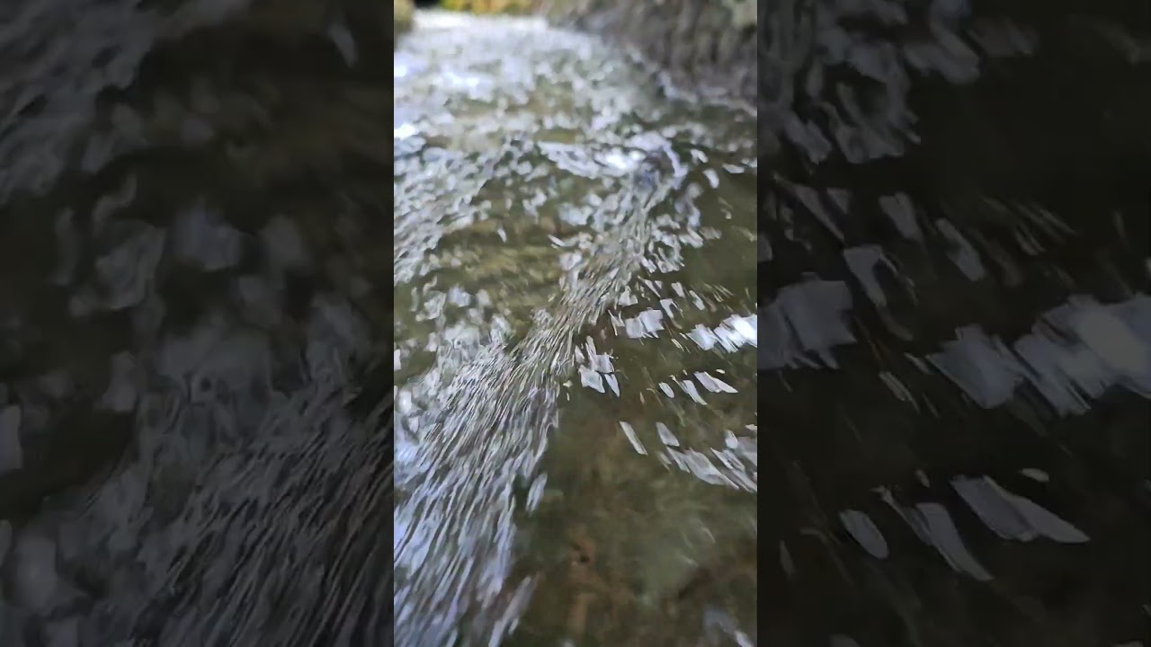 HDR nature 4K  Discover the Hidden Gems of Miljacka River: 20 #miljacka #sarajevobosnia #sarajevo