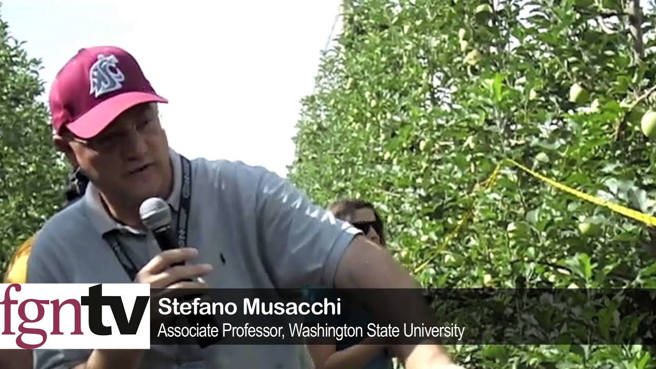 Mechanical Pruning: Maslin Cripps Pink &mdash; FGNtv