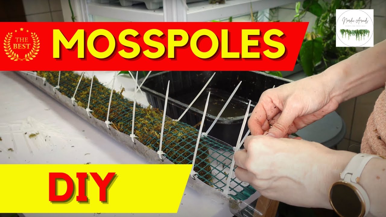 How to make the best MOSS POLES 🪴DIY D-shaped moss pole