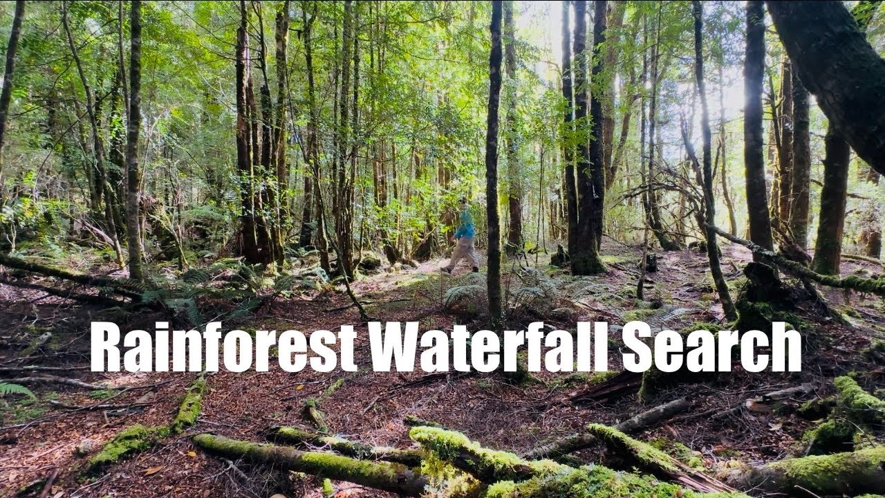 Wilderness walking around Waratah: Philosopher Falls, Waratah Falls, Wandle Falls #walkingtour