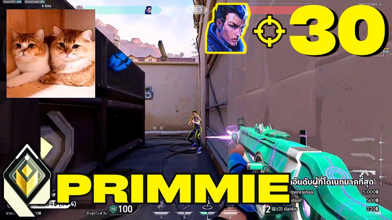 PRIMMIE против THYY и CRWS в рейтинге!! - TLN Primmie [APAC]