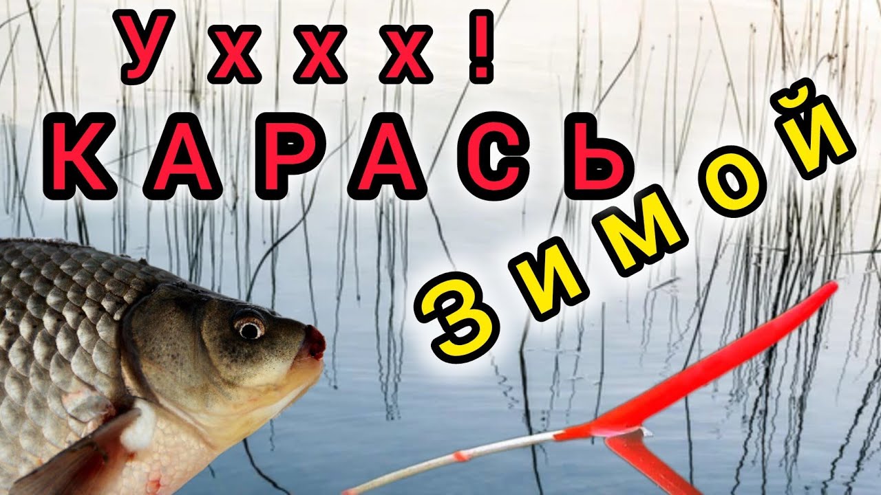 Ухх Карась Зимой на ПОПЛАВОК!!! ЛОВИМ КАРАСЯ ГУСТЕРУ И ПЛОТВУ В ДЕКАБРЕ НА ПОПЛАВОК!