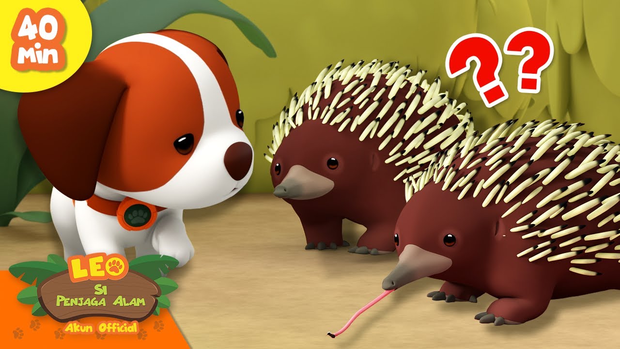 HEWAN INI MAKAN SEMUT? 🦔 | Hewan Berduri! | Leo Si Penjaga Alam | Kartun Anak